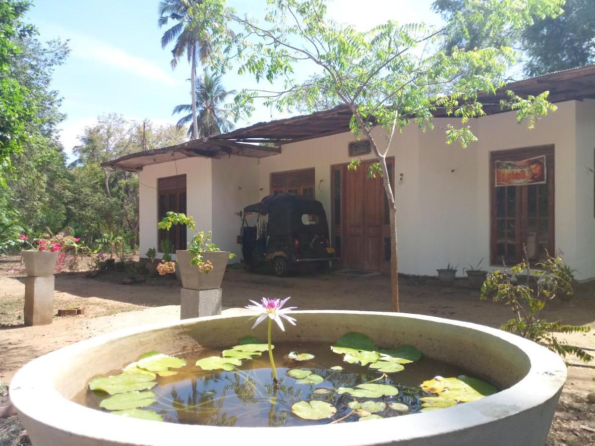 Silent Peacock Villa And Peacock Cafe Тангале Екстериор снимка