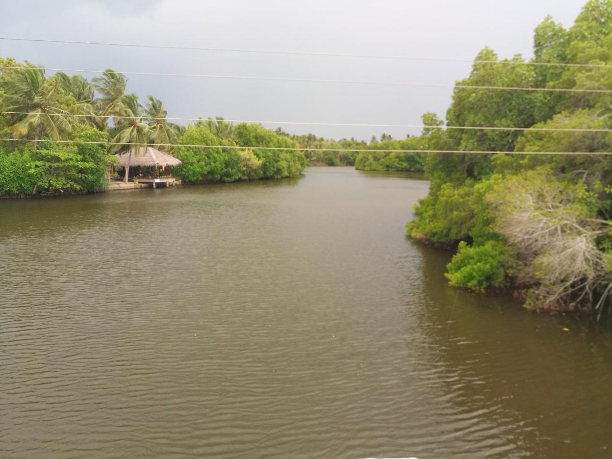 Silent Peacock Villa And Peacock Cafe Тангале Екстериор снимка