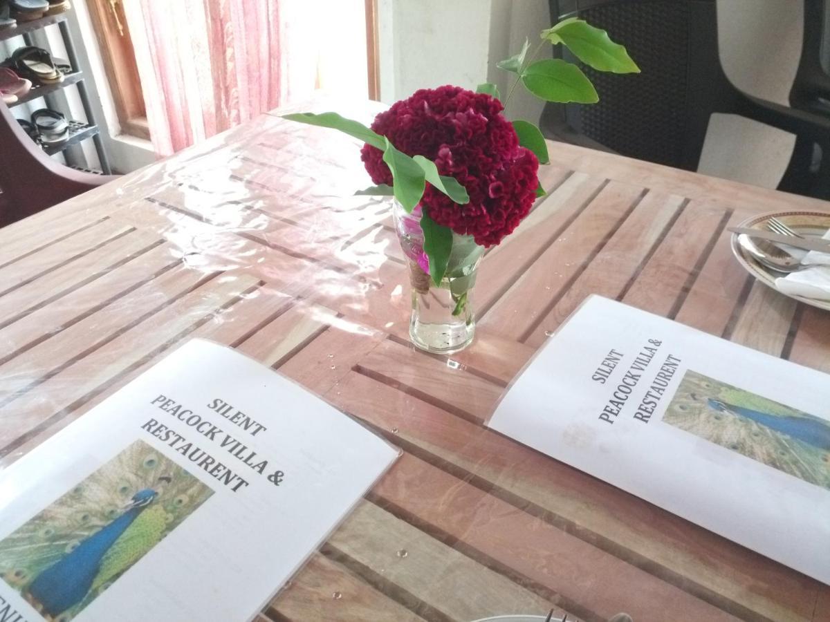 Silent Peacock Villa And Peacock Cafe Тангале Екстериор снимка