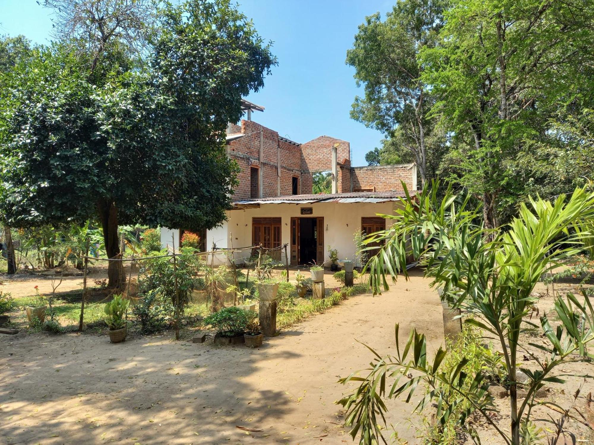 Silent Peacock Villa And Peacock Cafe Тангале Екстериор снимка